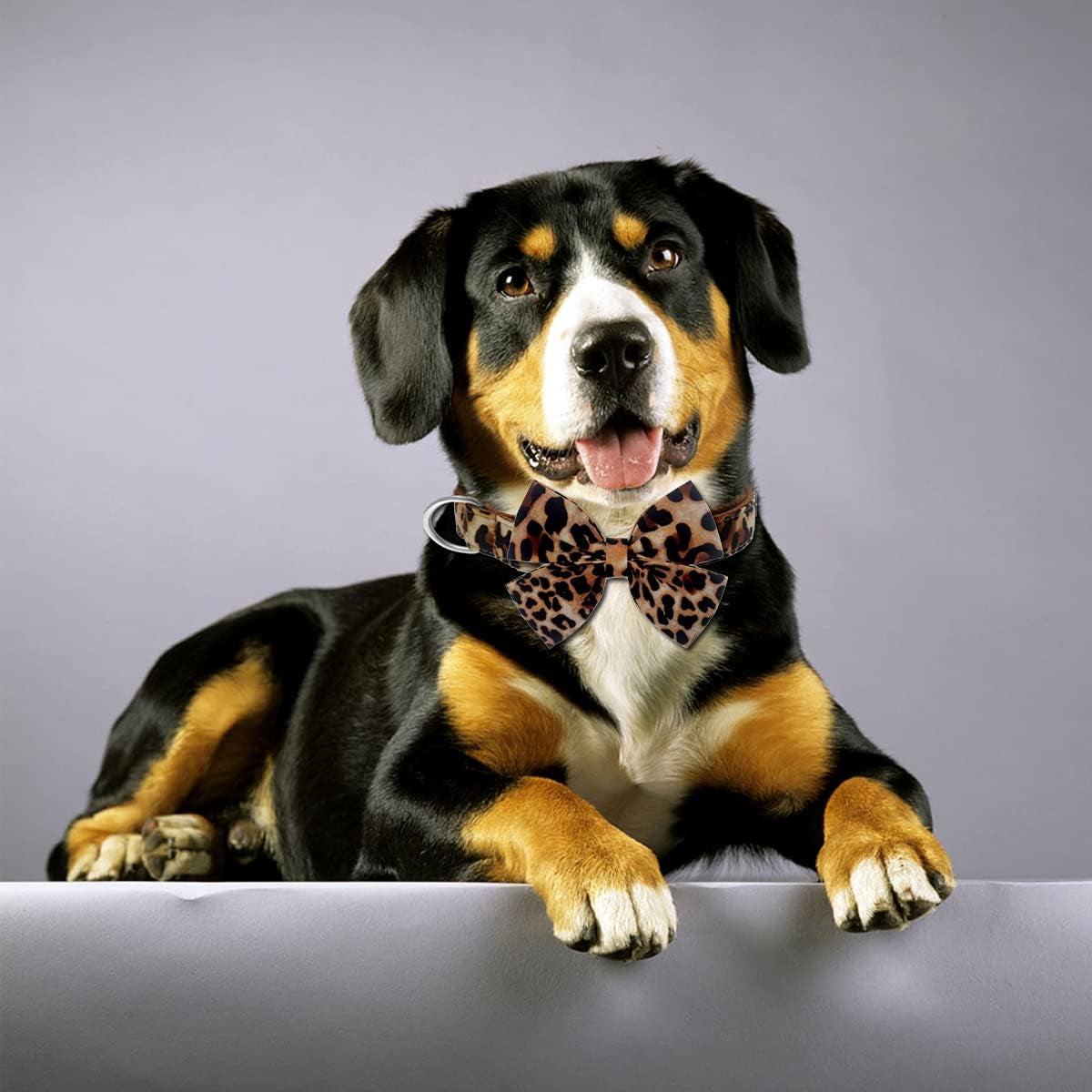 Leopard Love Bowtie Collar – A little wild, a lot adorable! This adjustable cotton collar with a detachable bowtie keeps your pup comfy, stylish, and ready to turn heads on every walk. Perfect for small to large dogs who love a touch of glam ✨🐾