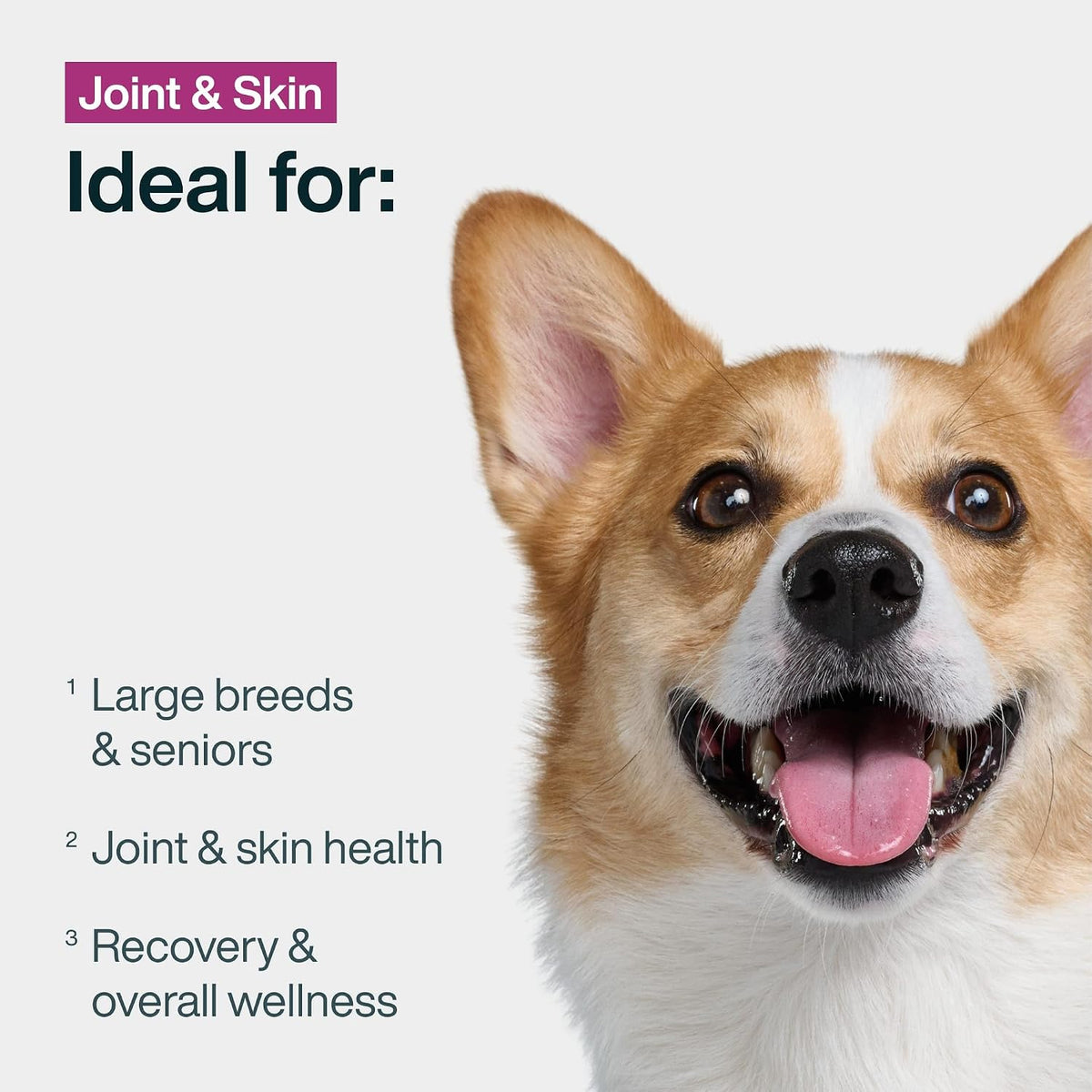 Nourish Your Dog with JustFoodForDogs Frozen Fresh Food - Joint & Skin Support, Perfect for Sensitive Stomachs - 18 Oz Pack of 7!
