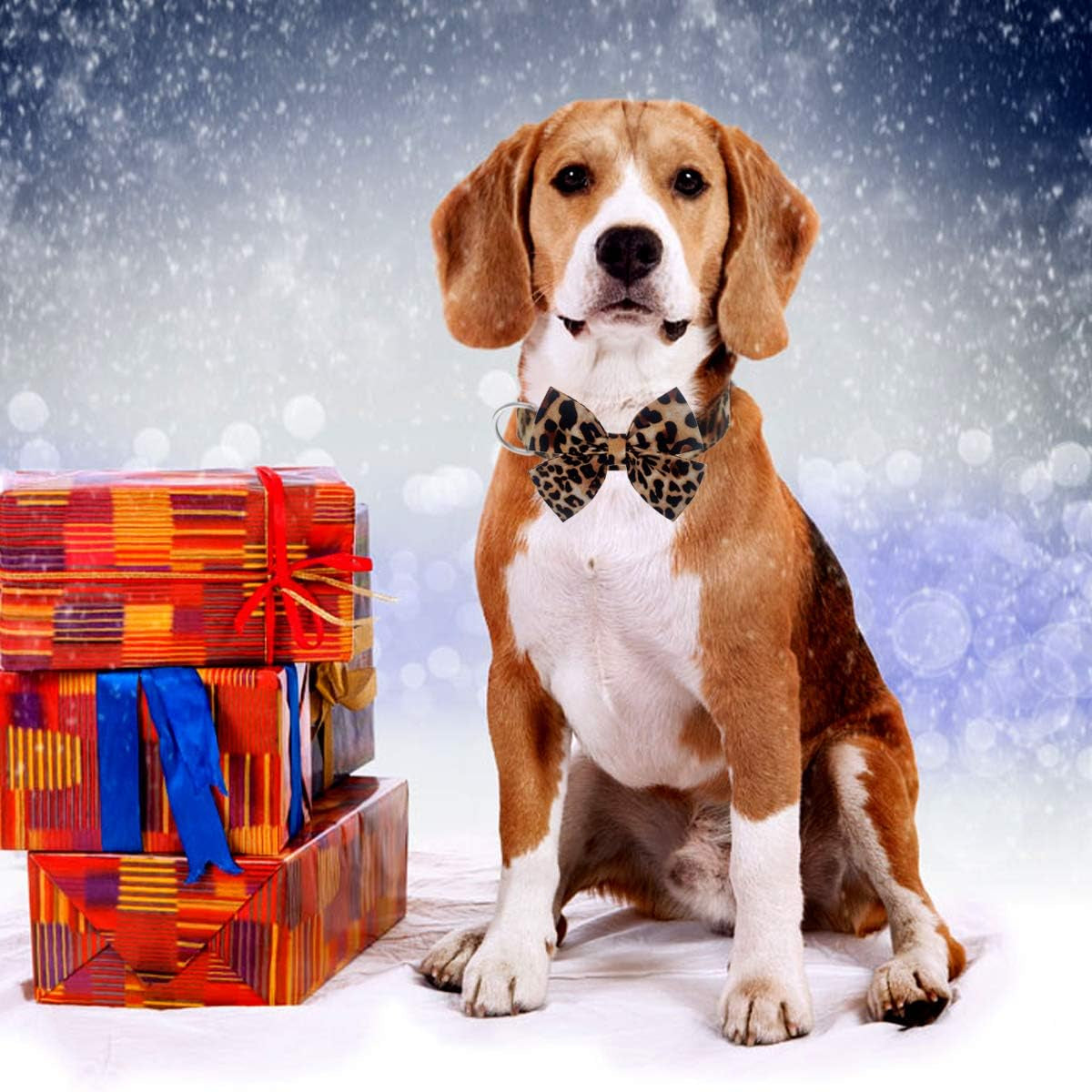 Leopard Love Bowtie Collar – A little wild, a lot adorable! This adjustable cotton collar with a detachable bowtie keeps your pup comfy, stylish, and ready to turn heads on every walk. Perfect for small to large dogs who love a touch of glam ✨🐾