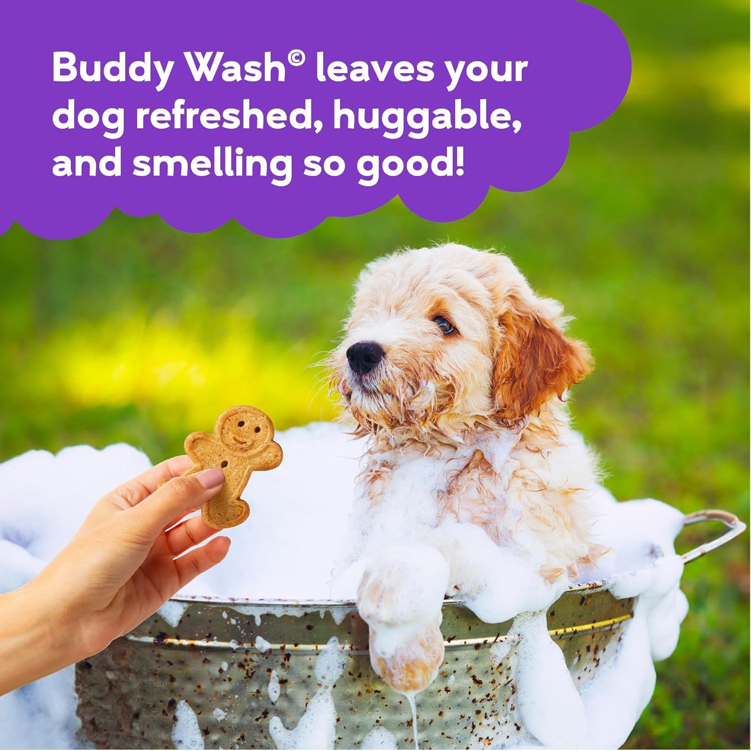 Buddy Wash 2-in-1 Dog Shampoo & Conditioner – Lavender & Mint Bliss for Soft, Shiny, Tail-Wagging Results (1 Gallon)