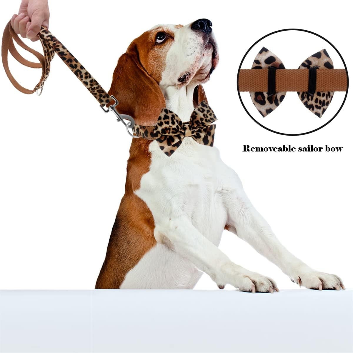 Leopard Love Bowtie Collar – A little wild, a lot adorable! This adjustable cotton collar with a detachable bowtie keeps your pup comfy, stylish, and ready to turn heads on every walk. Perfect for small to large dogs who love a touch of glam ✨🐾