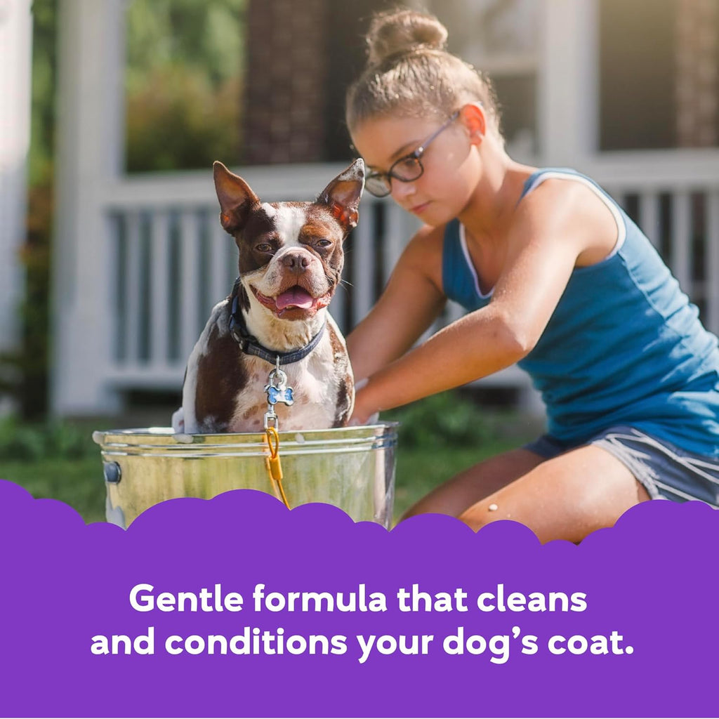 Buddy Wash 2-in-1 Dog Shampoo & Conditioner – Lavender & Mint Bliss for Soft, Shiny, Tail-Wagging Results (1 Gallon)